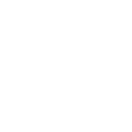 Mzansi Pickleball Plug