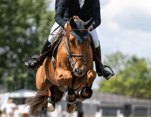 Showjumping covered by Real Sports